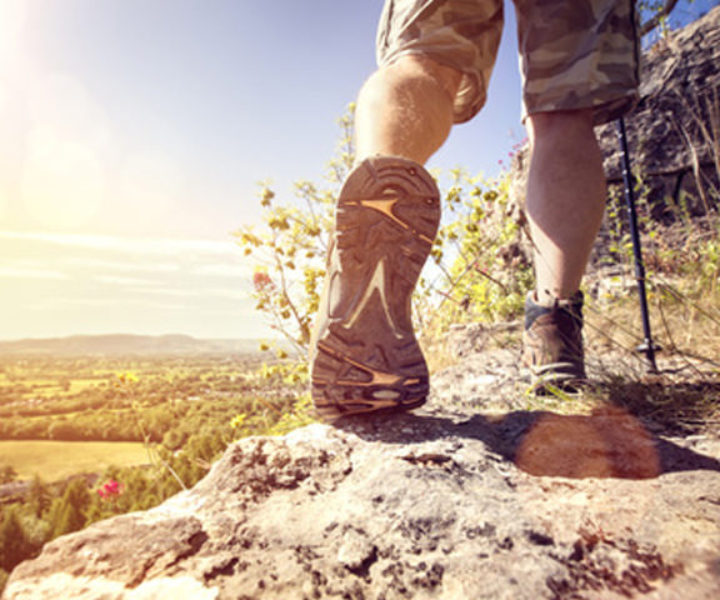 Lorem ipsum dolor sit amet, consetetur sadipscing elitr, sed diam nonumy eirmod tempor invidunt ut labore 